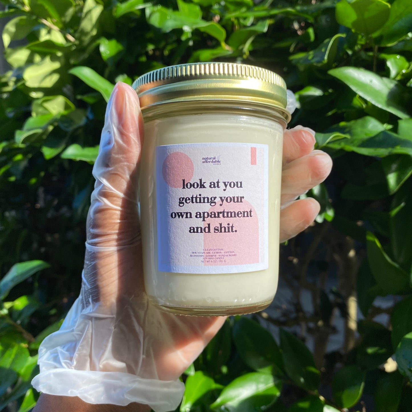 Look At You Getting Your Own Apartment And Shit Soy Candle | Clean Cotton